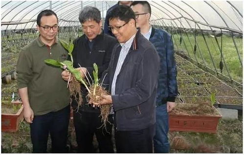 安徽九方制药 专注创新践行中药现代化之路，深耕中草药种植根基