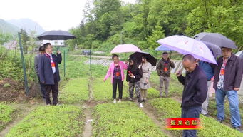 提案追踪 加强太白贝母种源基地建设，助推中药材持续发展