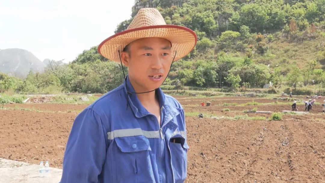 关岭普利乡 中药材种植抢春忙，中草药产业助力基层之治