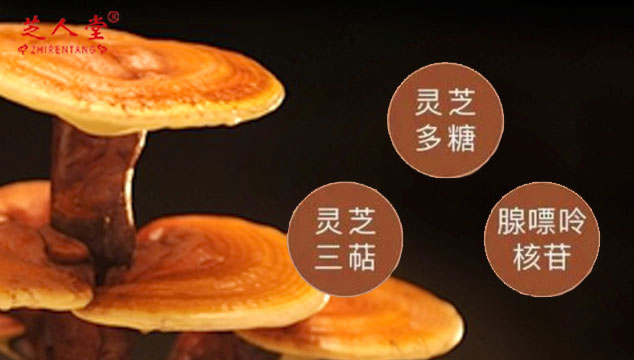 泰山产地不同品牌灵芝孢子粉的灵芝三萜含量会相同吗?