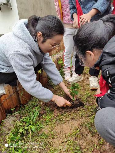 丰惠镇小中草药种植活动开始啦